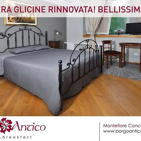 乡村民宿 Il Borgo Antico Montefiore Conca